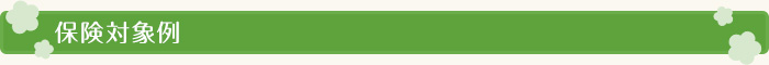 保険対象例